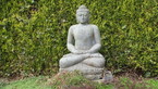 Photos de notre jardin