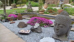 Photos de notre jardin
