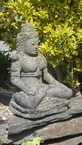 Photos de notre jardin