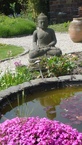 Photos de notre jardin