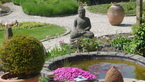 Photos de notre jardin