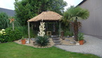 Photos de notre jardin