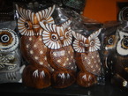 nouveaux containers