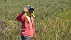 Des photos de l'Indonesie