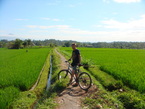 Des photos de l'Indonesie