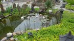 Photos de notre jardin