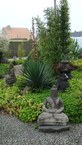 Photos de notre jardin