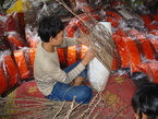 Des photos de l'Indonesie
