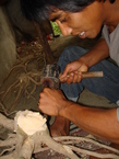 Des photos de l'Indonesie