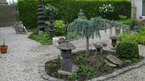 Photos de notre jardin