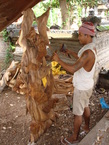Des photos de l'Indonesie