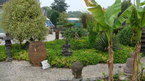 Photos de notre jardin