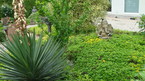 Photos de notre jardin