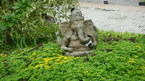 Photos de notre jardin