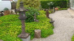 Photos de notre jardin