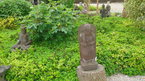 Photos de notre jardin
