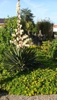 Photos de notre jardin