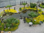 Photos de notre jardin