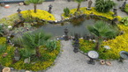 Photos de notre jardin