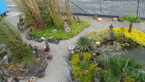 Photos de notre jardin