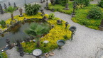 Photos de notre jardin