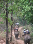 Des photos de la Thaïlande