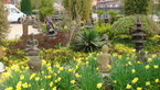 Photos de notre jardin
