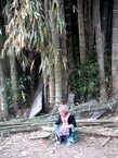 Des photos de la Thaïlande