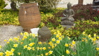 Photos de notre jardin