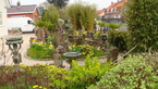 Photos de notre jardin