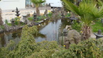 Photos de notre jardin