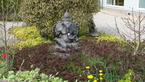 Photos de notre jardin