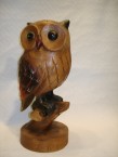 hibou