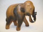 éléphant avec le tronc  en bas