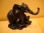 éléphant feng shui sur la monnai