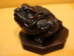 grenouille avec 3 pattes
