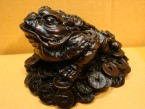 grenouille avec 3 pattes