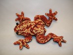 grenouille avec du sable là dedans