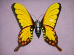 papillon en bois