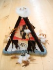 tipi
