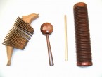 Dolfijnmaracas