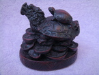 tortue avec la tête de dragon