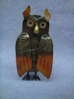 hibou