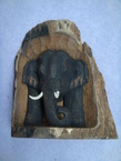 éléphant frontale