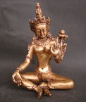 tara vert