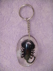 porte-clé avec un scorpion