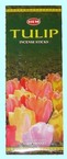 tulipe