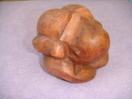 yogi