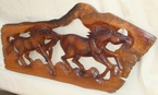 Des chevaux sauvages