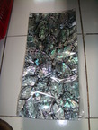 Un plat en echelle de paua 35x15cm